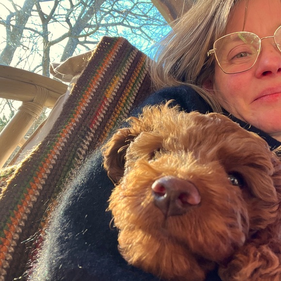 Meet your Posher, Anne - Picture 1 of 1